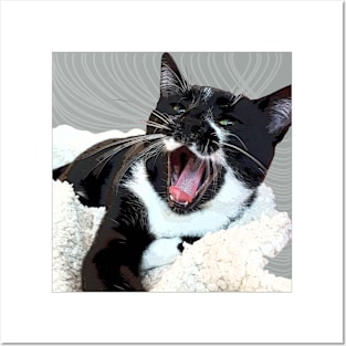 A yawn cat. Posters and Art